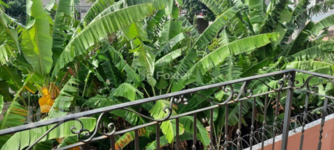 Image 71 - 873377