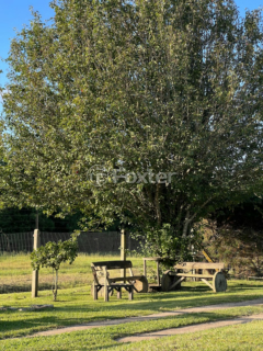 Image 26 - 874408