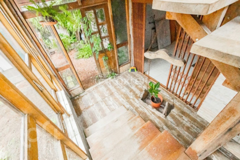 Image 31 - 874701
