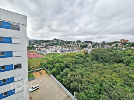 Image 9 - 875186