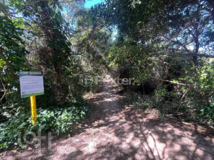 Image 31 - 875738