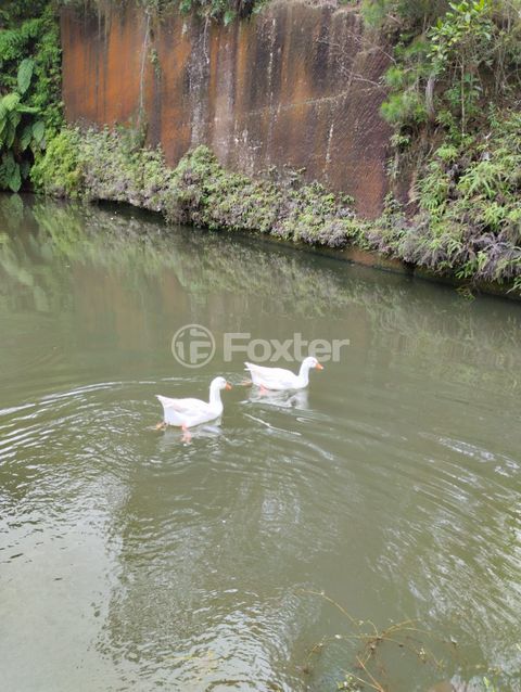 Image 9 - 875991