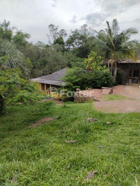 Image 17 - 875991
