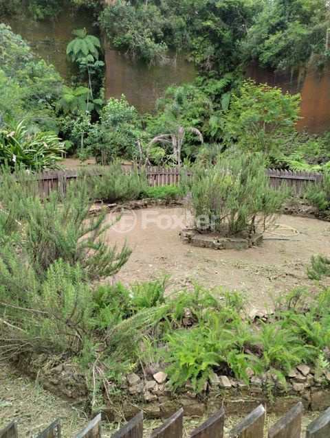 Image 13 - 875991