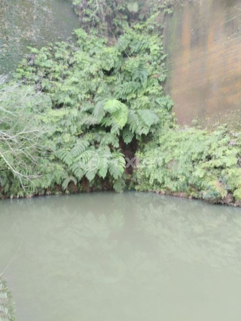 Image 10 - 875991
