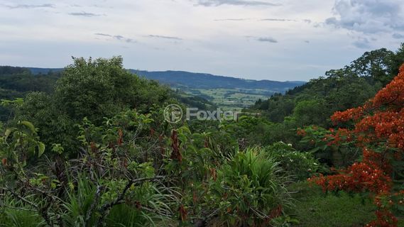 Image 8 - 875991