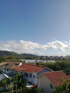 Image 11 - 876163