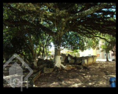 Image 17 - 876253