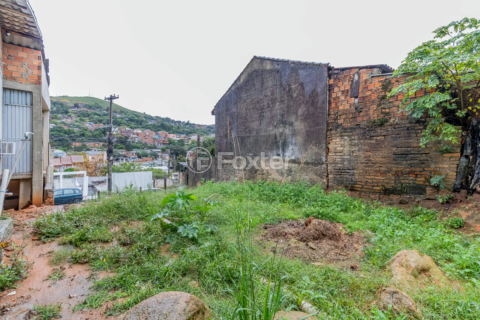 Image 41 - 876404