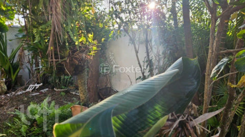 Image 8 - 876450