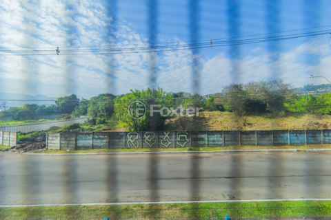 Image 7 - 876462