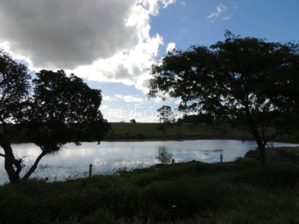 Image 0 - 876470