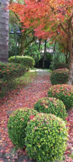 Image 29 - 876510