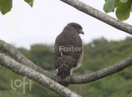 Image 9 - 876944