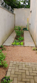 Image 19 - 877229