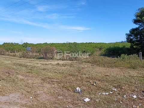 Image 6 - 877560