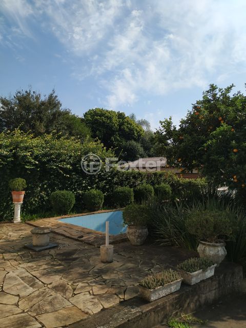Image 50 - 877664