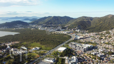 Image 10 - 877864
