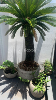 Image 7 - 878260