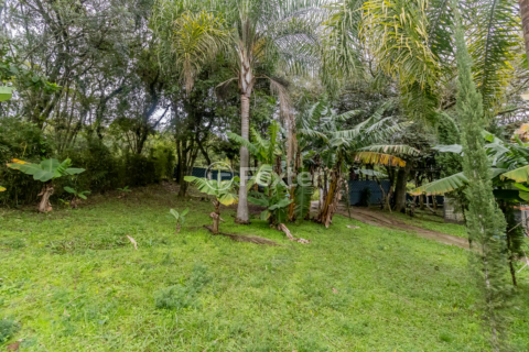 Image 69 - 879161