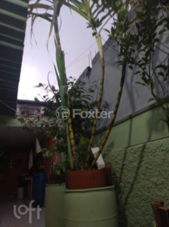 Image 8 - 879186