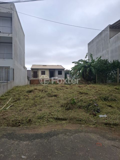 Image 5 - 879987