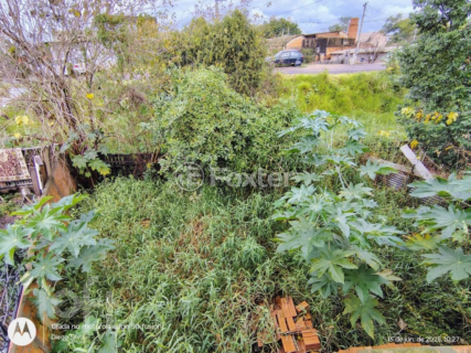 Image 6 - 881358
