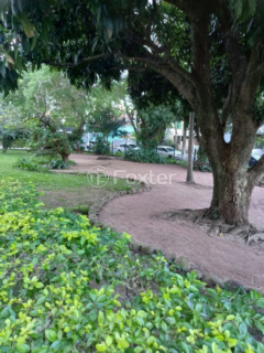 Image 6 - 881388