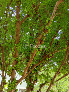 Image 14 - 881657