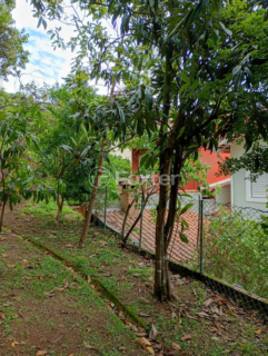 Image 17 - 881657