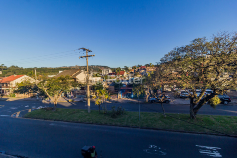Image 25 - 882453