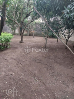 Image 6 - 882541