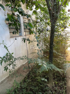 Image 32 - 883120