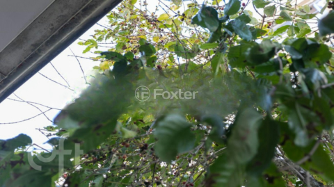 Image 47 - 883140