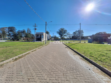 Image 7 - 883478