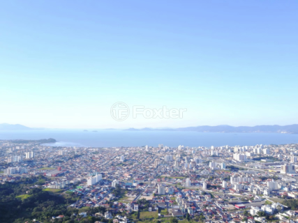 Image 20 - 883486