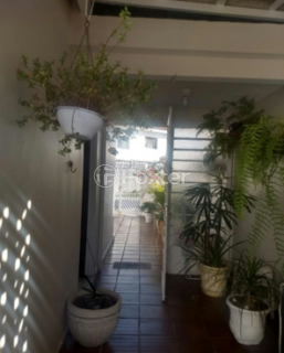 Image 7 - 884428