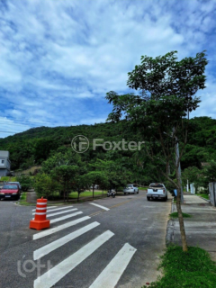 Image 14 - 884553