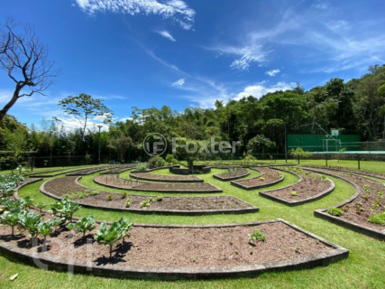 Image 95 - 884733