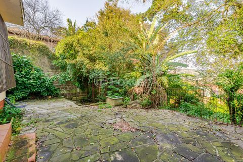 Image 45 - 884735