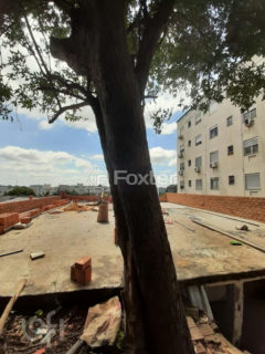 Image 6 - 884772