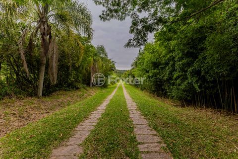 Image 88 - 886431