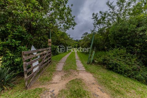 Image 89 - 886431