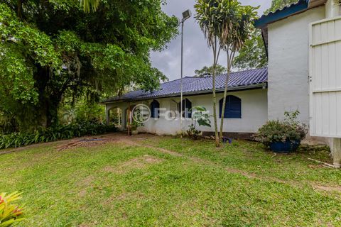 Image 81 - 886431