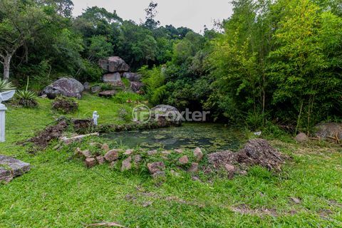 Image 41 - 886431