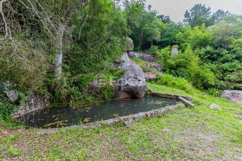 Image 43 - 886431