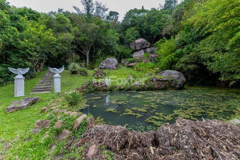 Image 46 - 886431