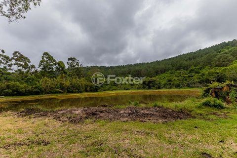 Image 53 - 886431