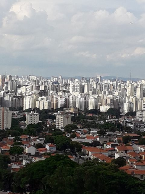 Image 10 - 887264