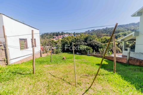 Image 30 - 887711